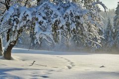 Winterlandschaft, Quelle: cocoparisienne pixabay